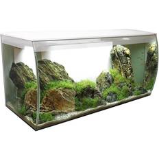 Aquarium Fluval Flex 123 Liter Aquarium