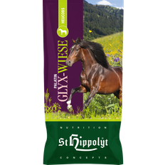 St. Hippolyt St. Hippolyt Palatin Høcobs 20 kg.