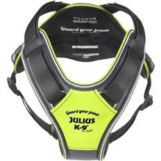 Julius-K9 IDC Longwalk Y-Harness L