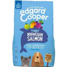 Fresh Norwegian Salmon