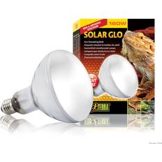 Exo Terra Solar Glo 125W Sun Simulating Bulb