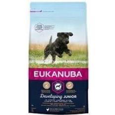 Eukanuba Developing Junior Large Breed Chicken 12KG 12kg