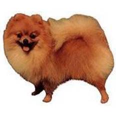 Kw 4 KW POMERANIAN 7 CM 4 STK