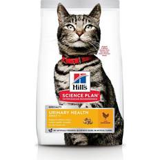 Eukanuba Kissa - Kissanruoka Lemmikit Eukanuba Adult Urinary Health Chicken Dry Cat Food 3 kg