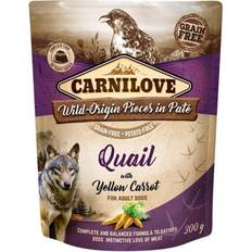 Carnilove Hundefutter Haustiere Carnilove Dog Pate Pouch 300g Quail with