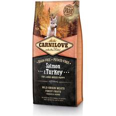 Carnilove Salmon & Turkey Puppy Large 12kg