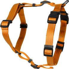 Hundesele xxl Dogman H-sele Iris Orange XL/XXL