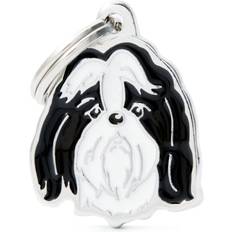 Shih tzu ELDORADO Shih Tzu