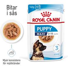 Royal Canin Maxi Puppy 10 x 140 g (9003579008447)