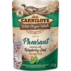 Carnilove Cat Pets Carnilove Cat Pouch 85g Pheasant with Raspberry