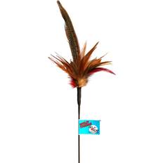 Go Cat Long Wild Thing