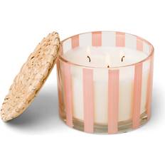 Candlesticks, Candles & Home Fragrances Paddywax Pepper & Plum Striped Scented Candle