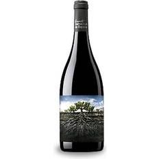 Grenache Rødvine Proyecto Garnachas de España Salvaje del Moncayo Aragon 2019