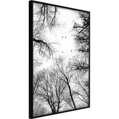 Artgeist med ramme Treetops Sort med passepartout 20x30 Billede