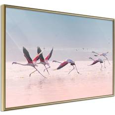 Arkiio Affisch Flamingos Race [Poster] 60x40 Poster