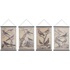 Beige Vægdekorationer Dkd Home Decor Lærred Fugle (4 pcs) (60 x 2 x 90 cm) Vægdekorationer