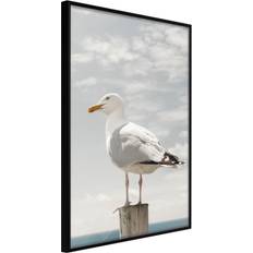 Artgeist Curious Seagull Guld Poster