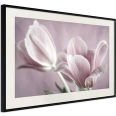 Arkiio Affisch Pink Tulips [Poster] 45x30 Poster