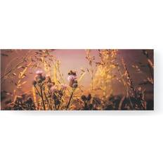 for the Home Canvastavla Flowers and a Bee 40x100
