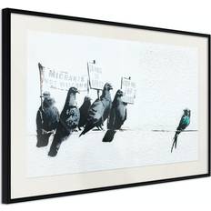 Arkiio Affisch Xenophobic Pigeons [Poster] 30x20 Poster