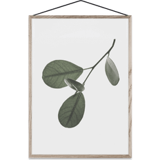 Floating leaves nr. 5, a3