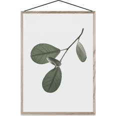 Moebe Posters Moebe Floating leaves nr. 5, a3 Poster