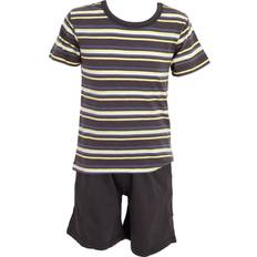 Tom Franks Tom Franks Mens Striped Flannel Pyjama Set (Blue)