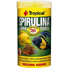 Spirulina Nahrungsergänzung Tropical Super Spirulina Forte 1.000 ml