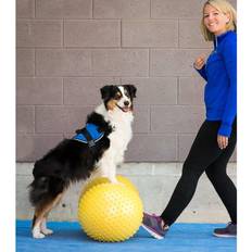 Pet Balance Platform Trax Peanut