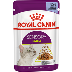 Royal canin sensory Royal Canin 96x85g Sensory Smell gelé kattemad våd