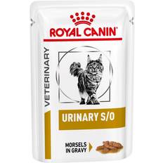 Royal Canin Urinary S/O Morsels in Gravy Cat Food