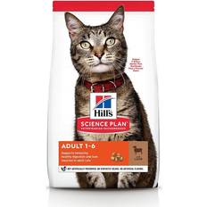 Hills Cibo Secco - Gatto Animali domestici Hills Adult Feline Agnello & Riso 1.5 kg