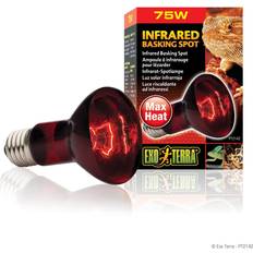 Exo Terra Lamp R20/50W Infrared PT-2141