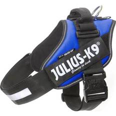 Julius-K9 Pets Julius-K9 Blue Dog Harness, Large