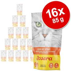 Paté 16 katte