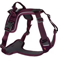 Non-Stop Dogwear Ramble Harness