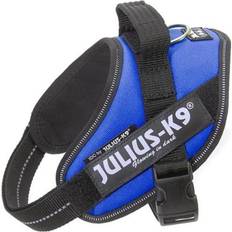 Julius-K9 Pets Julius-K9 Blue Dog Harness, Small