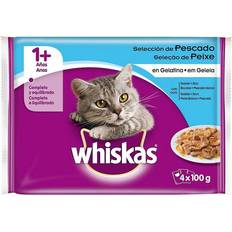 Whiskas fish Whiskas Cat Food Jelly Fish 4x100g