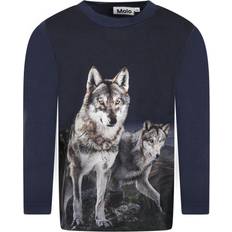 Molo 3-6M T-shirts Molo Roxo T-shirt, Summer Tiger