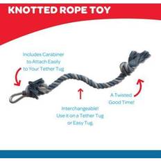 Dog tether Tether Tug Kit & Big Knot Dog