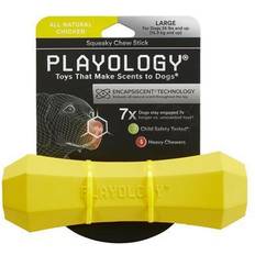 Playology Squeaky Chicken Chew Stick for Dogs Medium