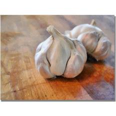 Canvas Posters Trademark Fine Art Michelle Calkins Garlic Poster