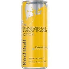 Red Bull Tropical Edition 250ml 1 pcs