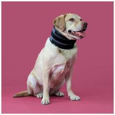 Cervical Collar for Dogs KVP