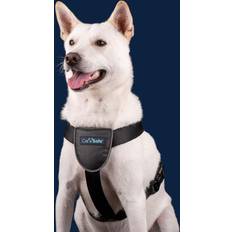 Company of Animals Colliers et laisses pour chiens Animaux de compagnie Company of Animals Carsafe Dog Travel Harness Small Medium