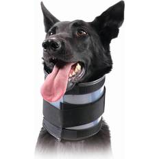 Cervical Collar for Dogs XXS