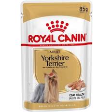 Royal canin loaf Royal Canin Yorkshire Terrier Adult Wet Dog Food in Loaf