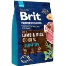 Brit Hund Haustiere Brit Premium Nature Sensitive Lamb 3 Lamb, Rice