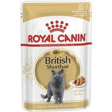 Royal canin british shorthair Royal Canin 1.02 kg 12 sobres x 85 g British Shorthair Adult