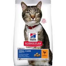 Hills Kissa - Kuivaruoka Lemmikit Hills Science Plan Feline Adult Oral Care Chicken